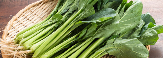 産地直送！無農薬の美味しい葉物野菜 特集