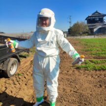 スズメバチの巣を発見、自分たちで駆除しました