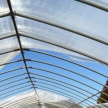 ハウスの修理も大事な作業